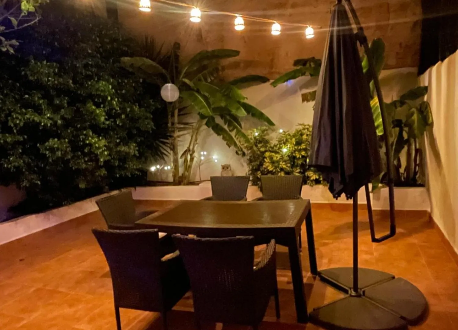 Casa De Limon location